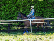 EL260422-5 - Guard Duty